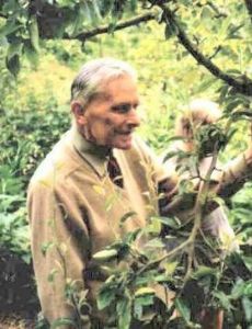 Robert Hart (horticulturist)