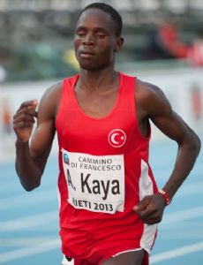 Ali Kaya