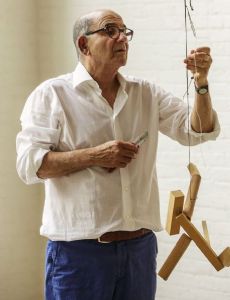 Joel Shapiro