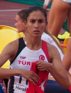 Burcu Ayhan