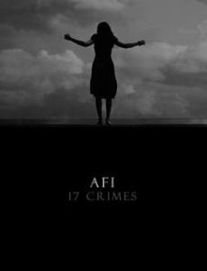 17 Crimes