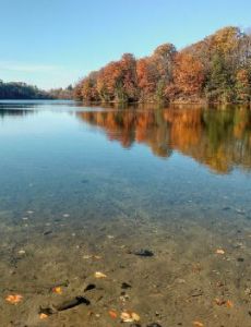 Bond Lake (Ontario)