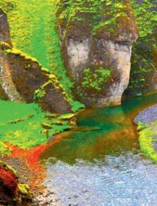 Rainforest (EP)