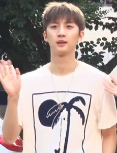 Hui (singer)