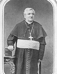 Jacques-Maurice De Saint Palais