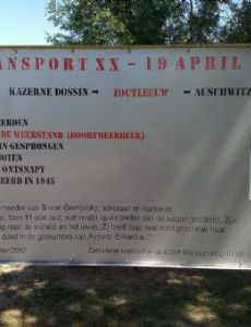 Simon Gronowski