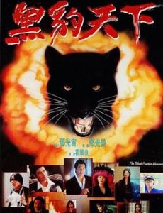 Warriors: The Black Panther