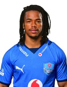 Stedman Gans