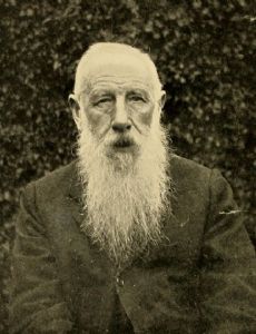David Sharp (entomologist)