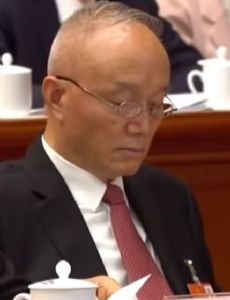 Cai Qi