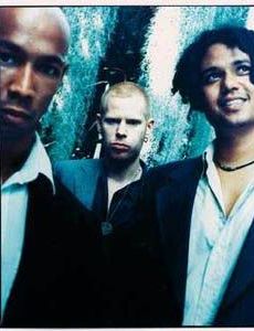 Seeed
