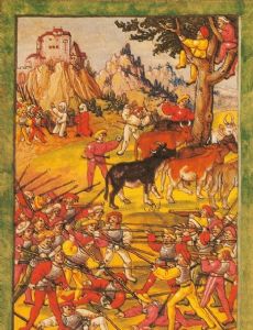 Cattle raiding