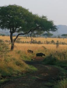 Ruma National Park