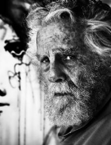 Gino Hollander