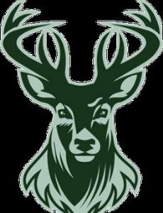Ballynahinch RFC