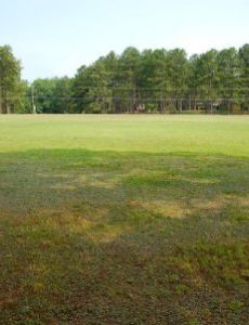 Alamance Battleground