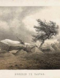 Hendrik Dirk Kruseman van Elten