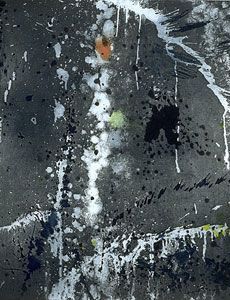 Pat Steir