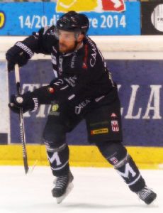 Matt Campanale