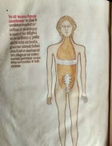 Guido da Vigevano
