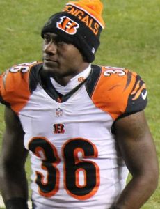 Shawn Williams (American football)