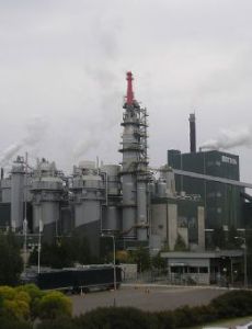 Pulp mill