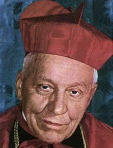 Josef Beran