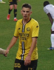 Zlatan Šehović