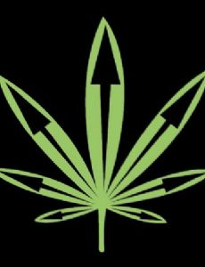 NORML France