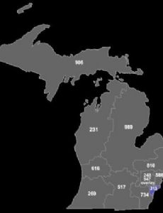 Area code 313