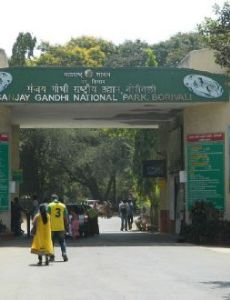 Sanjay Gandhi National Park