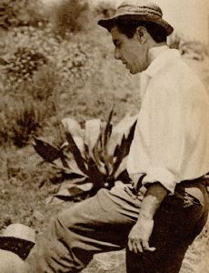 Renato Castellani