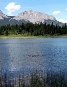 Bow Valley Provincial Park
