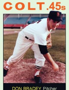 Don Bradey