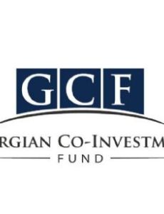 Georgian Co-Investment Fund