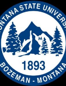Montana State University