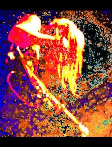 Ectogram