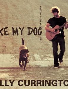 Like My Dog