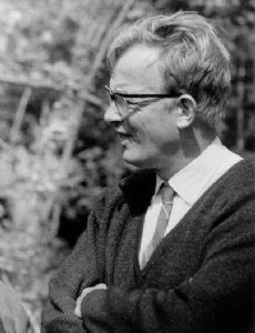 Hendrik C. van de Hulst