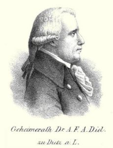 Adrian Diel