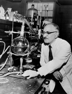 Selman Waksman