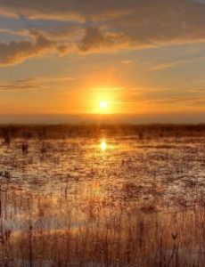 Everglades National Park