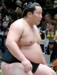 Tokusegawa Masanao
