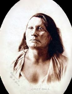 Chief Gall