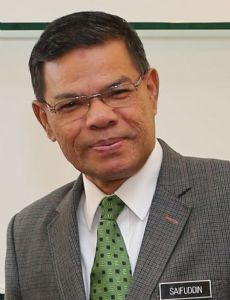 Saifuddin Nasution Ismail