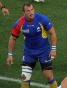 Stelian Burcea