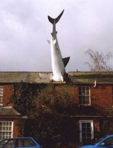 John Buckley (sculptor)