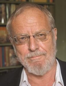 Robert Irwin (writer)