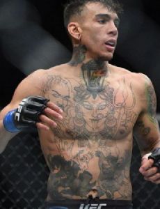 Andre Fili