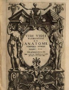 Vidus Vidius